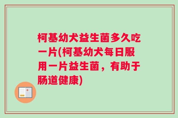 柯基幼犬益生菌多久吃一片(柯基幼犬每日服用一片益生菌，有助于肠道健康)
