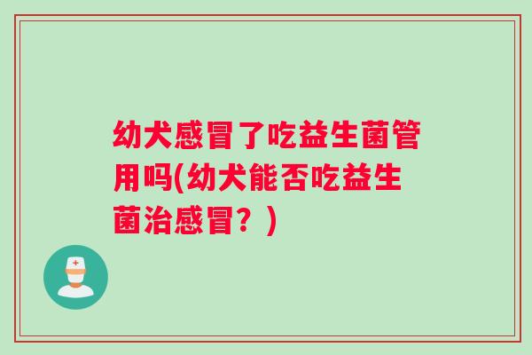 幼犬感冒了吃益生菌管用吗(幼犬能否吃益生菌治感冒？)