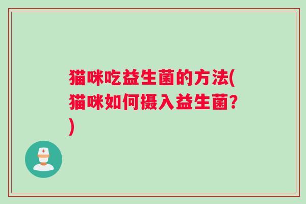 猫咪吃益生菌的方法(猫咪如何摄入益生菌?) 猫咪吃益生菌的方法(猫咪如何摄入益生菌?)