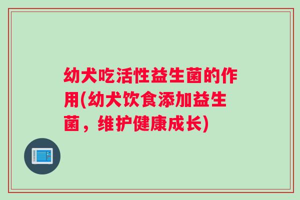 幼犬吃活性益生菌的作用(幼犬饮食添加益生菌，维护健康成长)