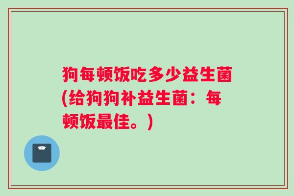 狗每顿饭吃多少益生菌(给狗狗补益生菌：每顿饭最佳。)