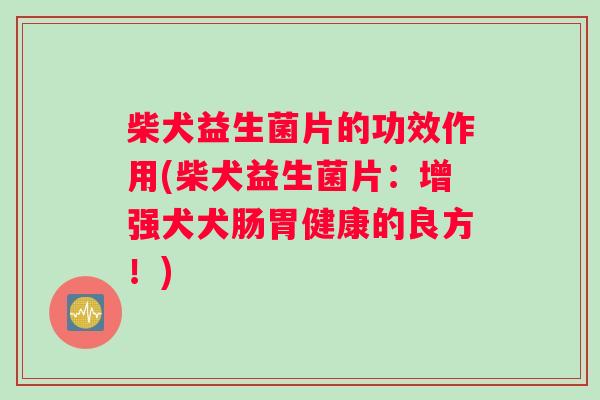 柴犬益生菌片的功效作用(柴犬益生菌片：增强犬犬肠胃健康的良方！)