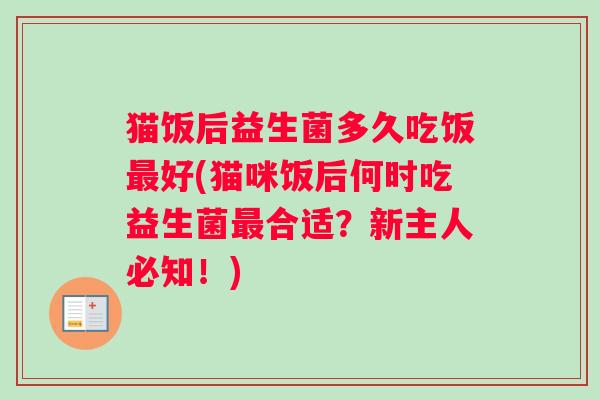 猫饭后益生菌多久吃饭好(猫咪饭后何时吃益生菌合适？新主人必知！)