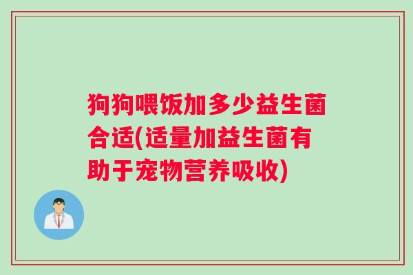 狗狗喂饭加多少益生菌合适(适量加益生菌有助于宠物营养吸收)
