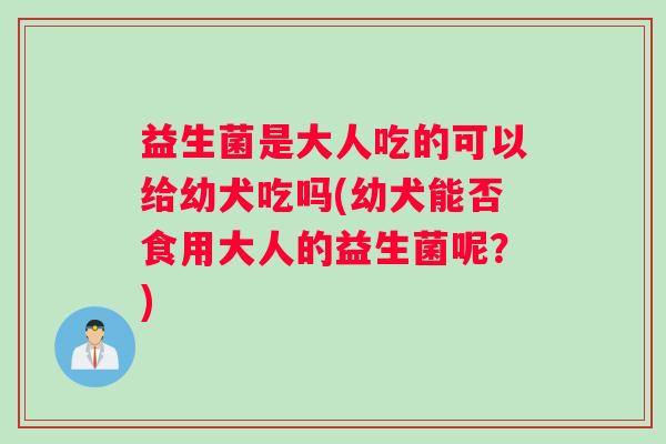 益生菌是大人吃的可以给幼犬吃吗(幼犬能否食用大人的益生菌呢？)