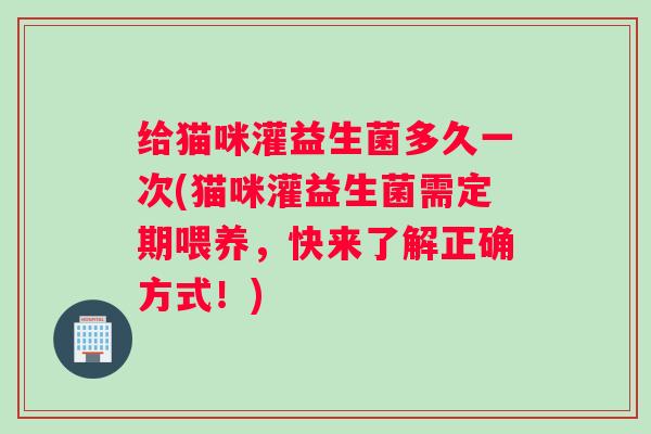 给猫咪灌益生菌多久一次(猫咪灌益生菌需定期喂养，快来了解正确方式！)