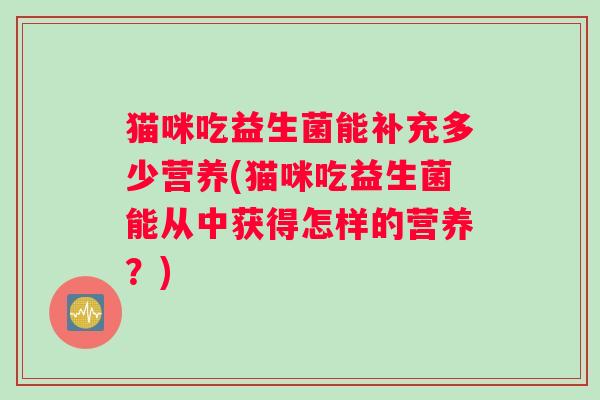 猫咪吃益生菌能补充多少营养(猫咪吃益生菌能从中获得怎样的营养？)