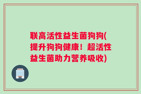 联高活性益生菌狗狗(提升狗狗健康！超活性益生菌助力营养吸收)
