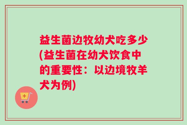 益生菌边牧幼犬吃多少(益生菌在幼犬饮食中的重要性：以边境牧羊犬为例)