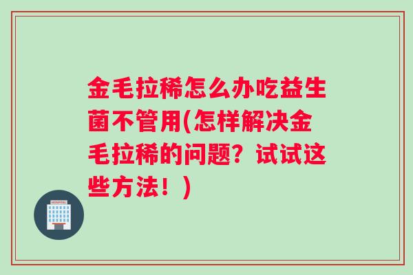 金毛拉稀怎么办吃益生菌不管用(怎样解决金毛拉稀的问题？试试这些方法！)