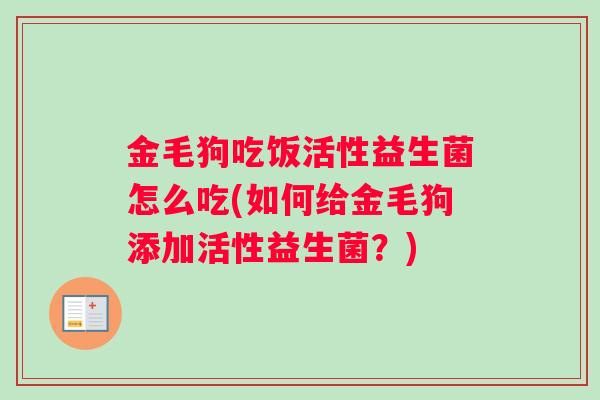 金毛狗吃饭活性益生菌怎么吃(如何给金毛狗添加活性益生菌？)
