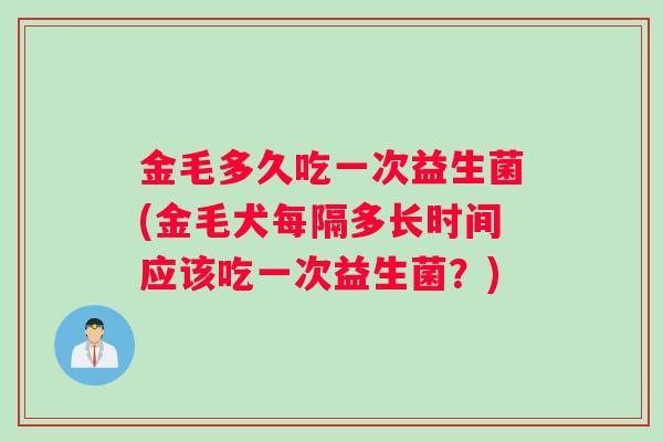 金毛多久吃一次益生菌(金毛犬每隔多长时间应该吃一次益生菌？)