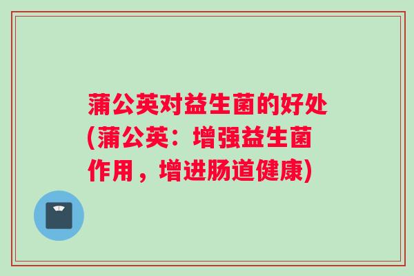 蒲公英对益生菌的好处(蒲公英：增强益生菌作用，增进肠道健康)
