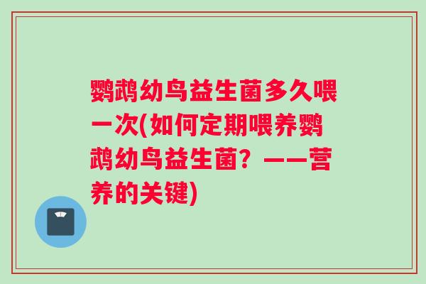 鹦鹉幼鸟益生菌多久喂一次(如何定期喂养鹦鹉幼鸟益生菌？——营养的关键)