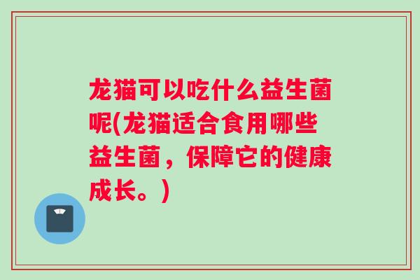 龙猫可以吃什么益生菌呢(龙猫适合食用哪些益生菌，保障它的健康成长。)