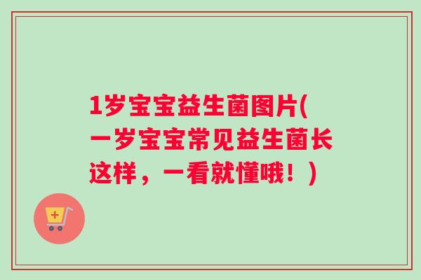 1岁宝宝益生菌图片(一岁宝宝常见益生菌长这样，一看就懂哦！)
