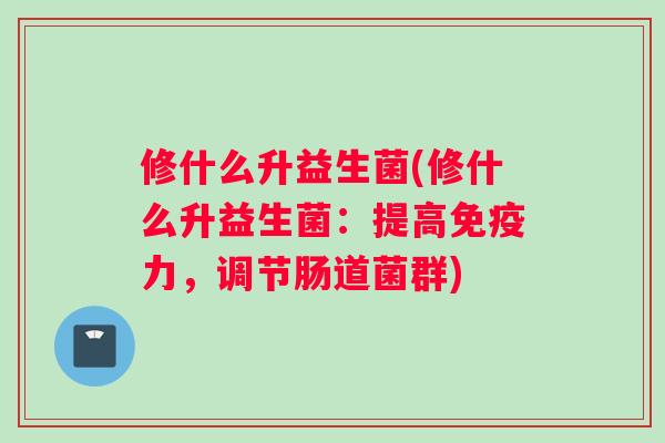 修什么升益生菌(修什么升益生菌：提高力，调节肠道菌群)