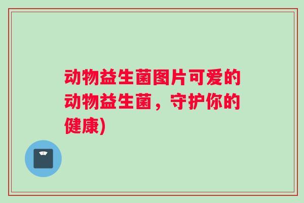 动物益生菌图片可爱的动物益生菌，守护你的健康)