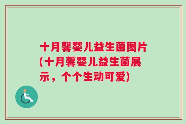 十月馨婴儿益生菌图片(十月馨婴儿益生菌展示，个个生动可爱)
