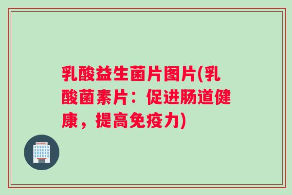 乳酸益生菌片图片(乳酸菌素片：促进肠道健康，提高免疫力)
