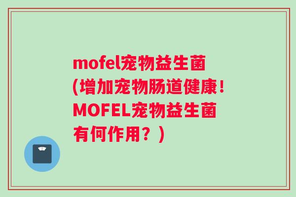 mofel宠物益生菌(增加宠物肠道健康！MOFEL宠物益生菌有何作用？)