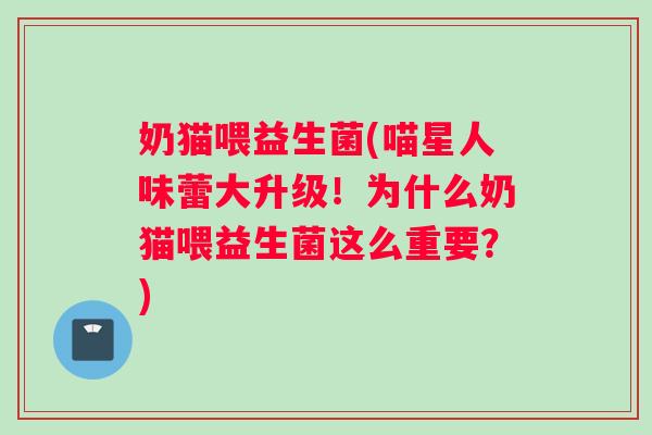 奶猫喂益生菌(喵星人味蕾大升级！为什么奶猫喂益生菌这么重要？)