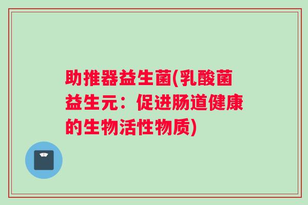 助推器益生菌(乳酸菌益生元：促进肠道健康的生物活性物质)
