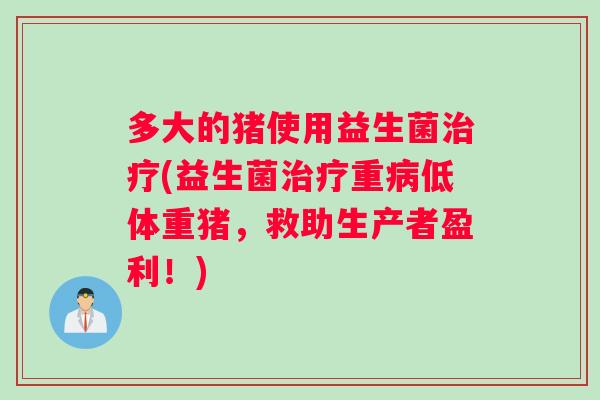 多大的猪使用益生菌治疗(益生菌治疗重病低体重猪，救助生产者盈利！)