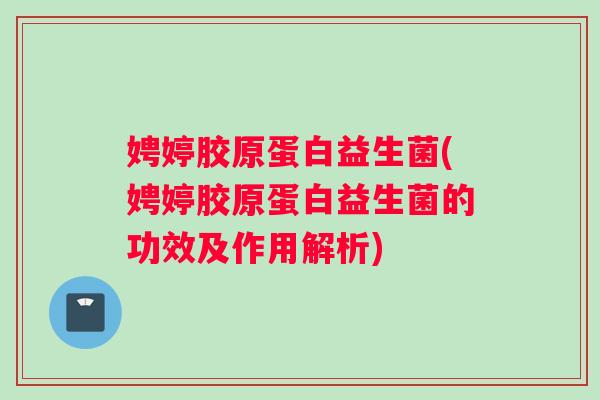 娉婷胶原蛋白益生菌(娉婷胶原蛋白益生菌的功效及作用解析)