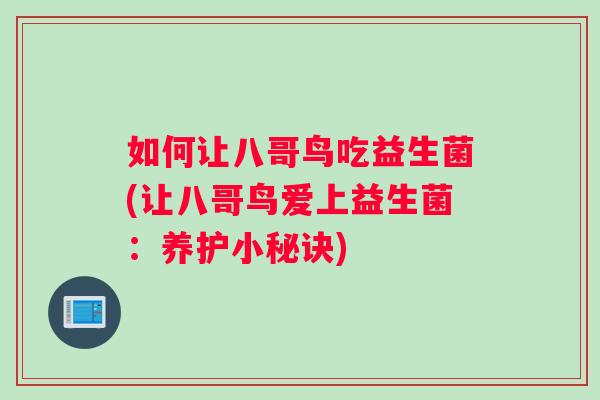 如何让八哥鸟吃益生菌(让八哥鸟爱上益生菌：养护小秘诀)