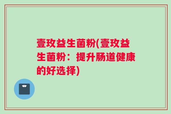 壹玫益生菌粉(壹玫益生菌粉：提升肠道健康的好选择)