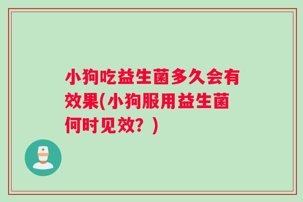 小狗吃益生菌多久会有效果(小狗服用益生菌何时见效？)