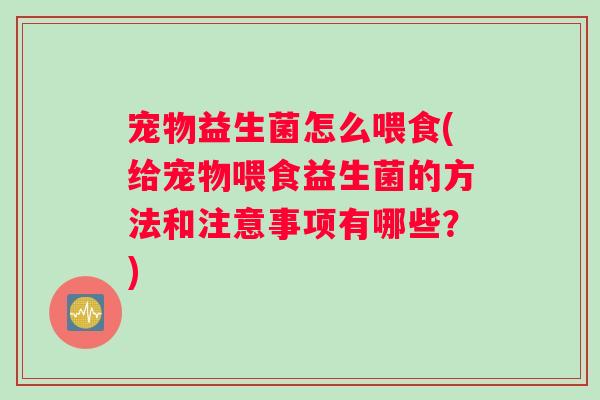 宠物益生菌怎么喂食(给宠物喂食益生菌的方法和注意事项有哪些？)