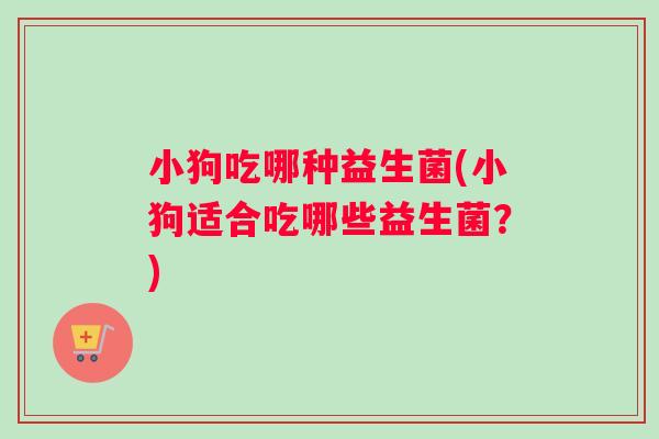 小狗吃哪种益生菌(小狗适合吃哪些益生菌？)
