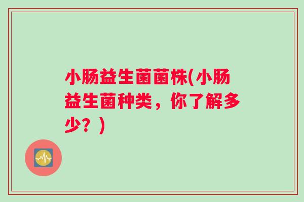 小肠益生菌菌株(小肠益生菌种类，你了解多少？)