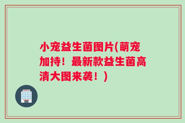 小宠益生菌图片(萌宠加持！最新款益生菌高清大图来袭！)