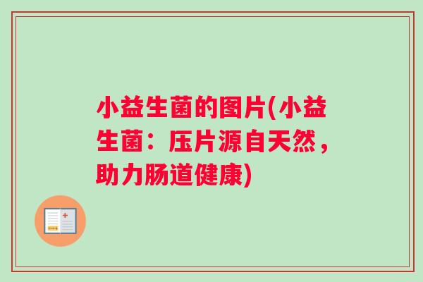 小益生菌的图片(小益生菌：压片源自天然，助力肠道健康)