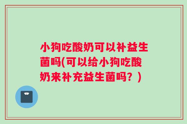 小狗吃酸奶可以补益生菌吗(可以给小狗吃酸奶来补充益生菌吗？)