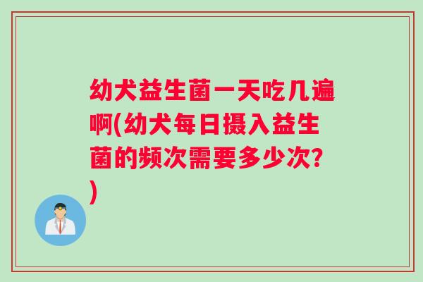 幼犬益生菌一天吃几遍啊(幼犬每日摄入益生菌的频次需要多少次？)