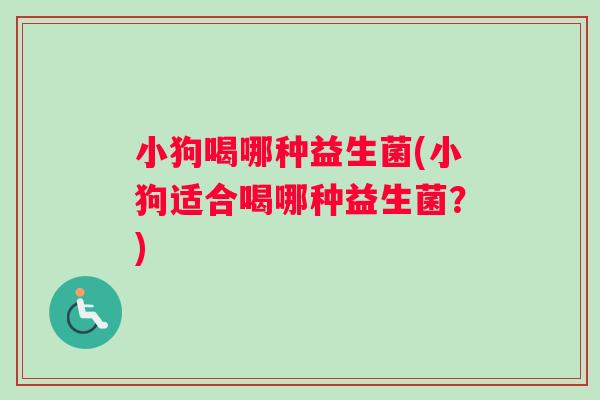 小狗喝哪种益生菌(小狗适合喝哪种益生菌？)
