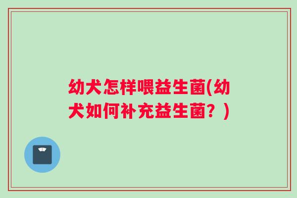 幼犬怎样喂益生菌(幼犬如何补充益生菌？)