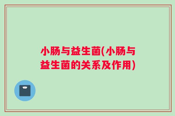 小肠与益生菌(小肠与益生菌的关系及作用)