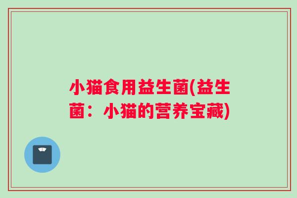小猫食用益生菌(益生菌：小猫的营养宝藏)