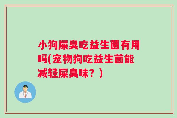 小狗屎臭吃益生菌有用吗(宠物狗吃益生菌能减轻屎臭味？)