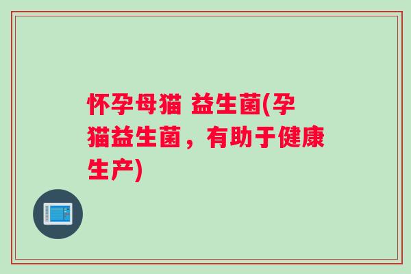 怀孕母猫 益生菌(孕猫益生菌，有助于健康生产)