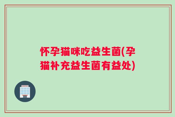 怀孕猫咪吃益生菌(孕猫补充益生菌有益处)