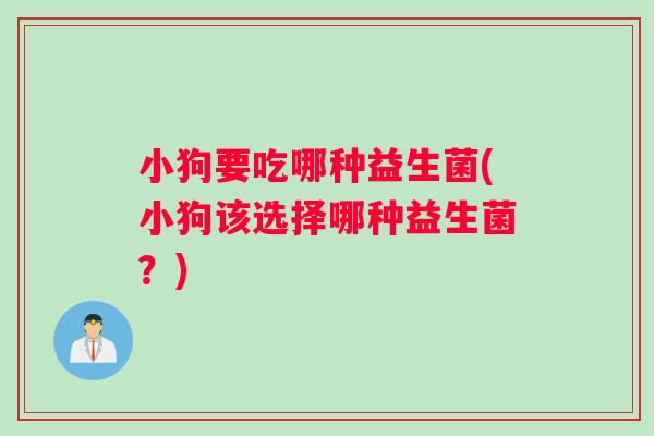 小狗要吃哪种益生菌(小狗该选择哪种益生菌？)