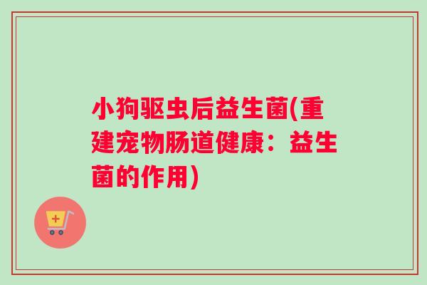 小狗驱虫后益生菌(重建宠物肠道健康：益生菌的作用)