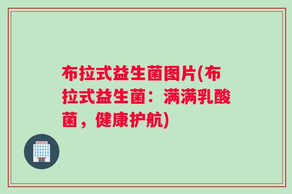 布拉式益生菌图片(布拉式益生菌：满满乳酸菌，健康护航)