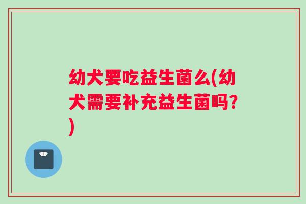 幼犬要吃益生菌么(幼犬需要补充益生菌吗？)